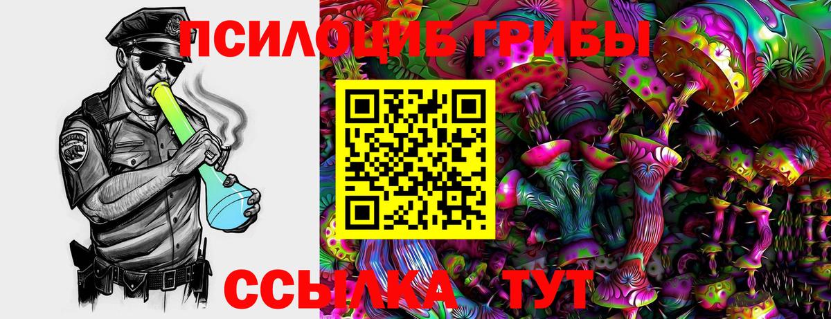 Галлюциногенные грибы Cubensis Буйнакск