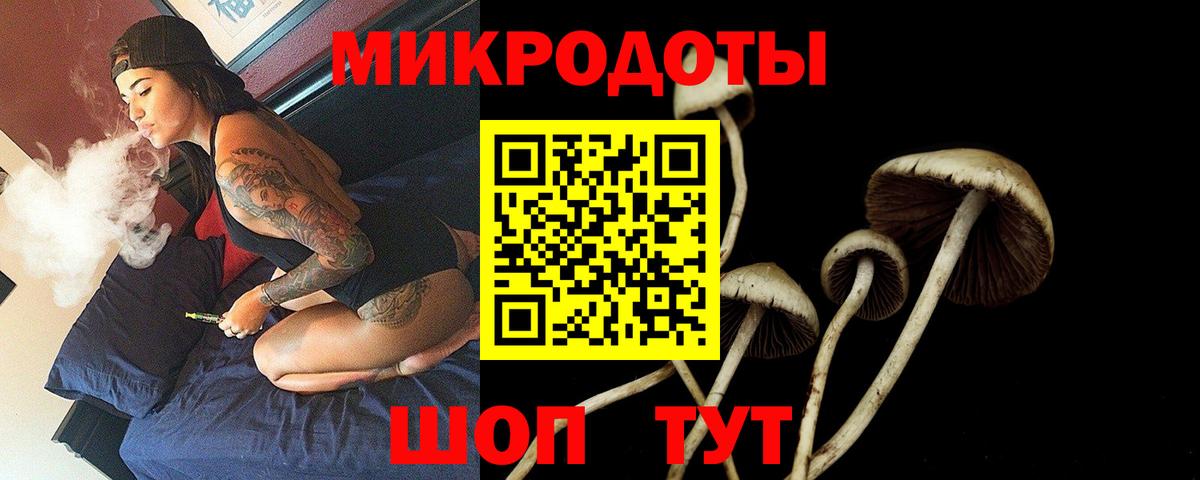 Галлюциногенные грибы мухоморы  Псилоцибиновые грибы мухоморы  Буйнакск  Вход с VPN 